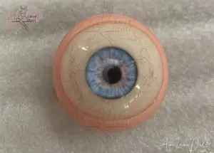 Easy Move Hyper Realistic Blue Eyes