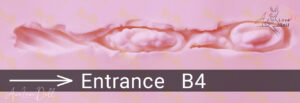 Vaginal structure B4