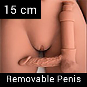 Removable Penis 15 cm